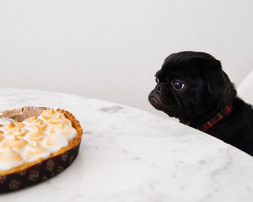 Photo by Charles Deluvio 🇵🇭🇨🇦 on Unsplash